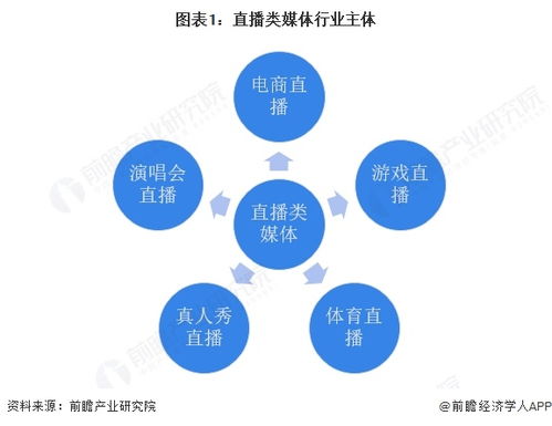 2025年中國(guó)傳媒行業(yè)細(xì)分市場(chǎng)分析 技術(shù)賦能與垂類深耕驅(qū)動(dòng)下的網(wǎng)絡(luò)技術(shù)開(kāi)發(fā)生態(tài)