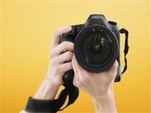 北京寵物攝影網(wǎng)站設計 創(chuàng)意與專業(yè)的完美融合